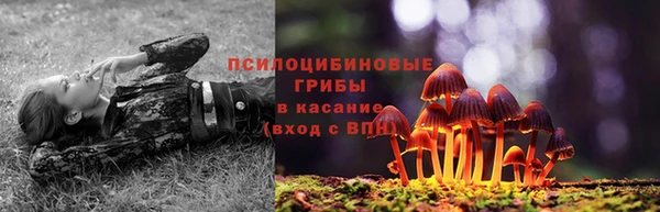 гашишное масло Богданович