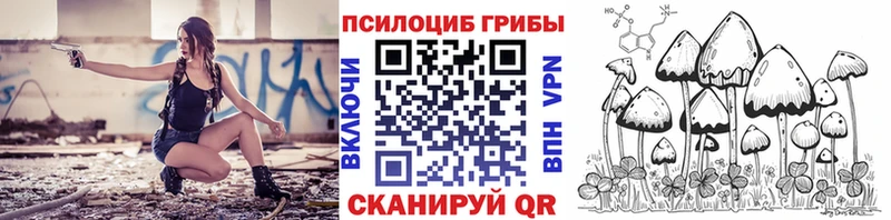 Галлюциногенные грибы Psilocybine cubensis  закладка  Купино 